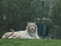 -北京野生动物园