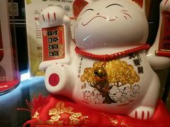 环境-功夫酸奶酪