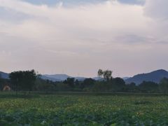 -道林古镇