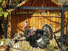 -大连罗马假日酒店温泉