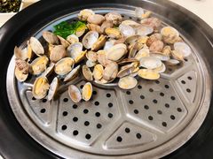 花蛤-蔚海之都·象山蒸汽海鲜(仙霞路店)