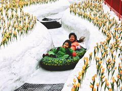 -广州热雪奇迹