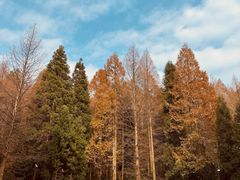 -山王坪喀斯特国家生态公园