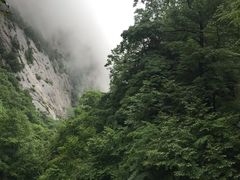 -青峰峡国家森林公园