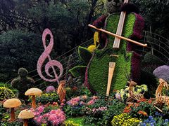 -杭州植物园