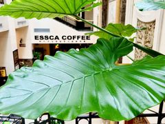 -阿什卡咖啡馆ESSCA COFFEE(塔里木石油宾馆店)