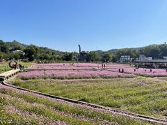 -红山村