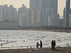 -海云台海滩