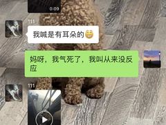 -趣玩宠物乐园寄养训犬训狗游泳池