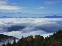 -白草畔自然风景区