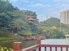 -深圳国际园林花卉博览园