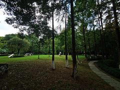 -苏州河梦清园环保主题公园