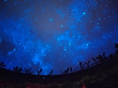 -郑州方特梦幻王国