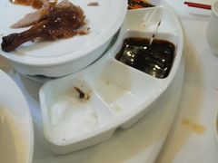 -眉州东坡(博雅店)