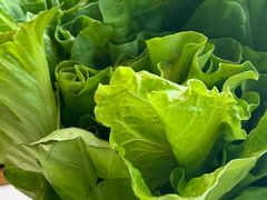 -润园四季椰子鸡火锅(南山海岸城店)