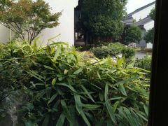 -梁鸿国家湿地公园