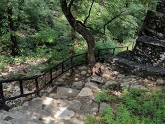 -北京上方山国家森林公园