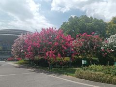 -杭州城北体育公园
