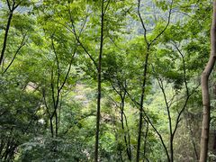 -金狮洞国家地质公园