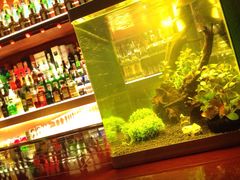 -鸡尾酒实验室酒吧(隆礼路店)