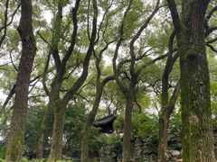 -天一阁博物院