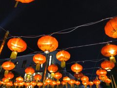 -刘姐啤酒鱼民族演艺餐厅(西街总店)