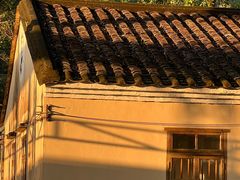 -东莞市大岭山森林公园