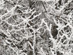 -水磨沟公园