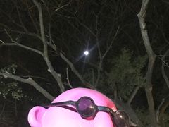 -莓园冰淇淋店