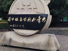 -大奇山国家森林公园