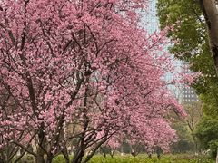 -白塘生态植物园