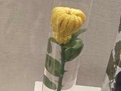 -广东中医药博物馆