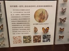 -天津自然博物馆