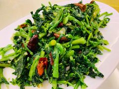 -晋善晋美(滕州市鲁南美食城店)