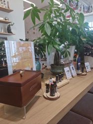 -dōTERRA多特瑞精油生活馆