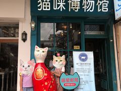 -猫咪博物馆(顶澳仔猫街店)