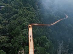 -少华山国家森林公园