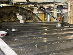 -六浦佳厨 ·地道粤菜(阳山鸡煲店)