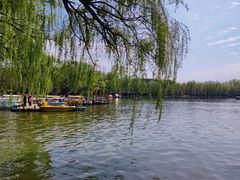 -廊坊市自然公园