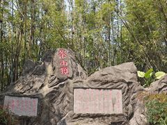 -东莞市大岭山森林公园