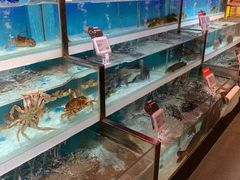 -盒马X会员店(王府井奥莱UP TOWN店)