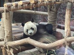 -黔灵山公园