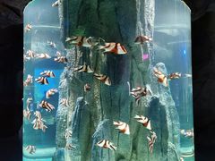 -福州罗源湾海洋世界旅游区