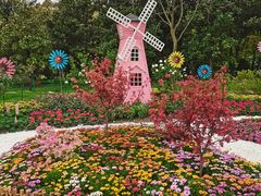 -上海共青森林公园