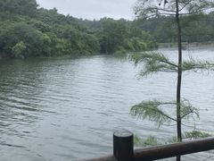 -天目湖山水园