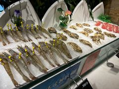 -裕龙汤泉