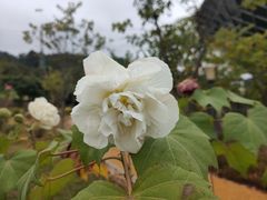 -中国移动南方基地