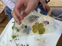 -源香农宝·亲子采摘·钓虾·科普研学