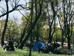 -共青国家森林公园-售票处