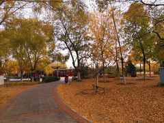 -永定河休闲森林公园